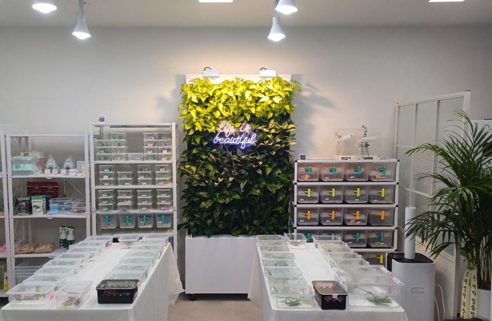 자연을 선물하다