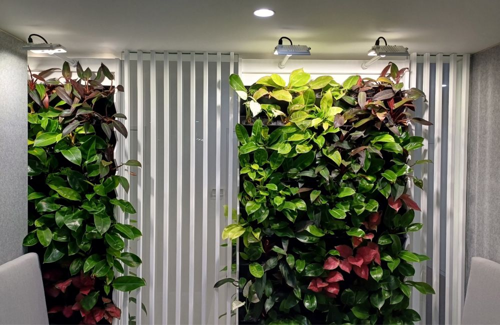 파티션 인테리어 디자인