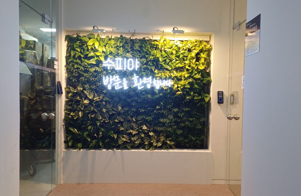 웰컴그린월 "환영의 숲"