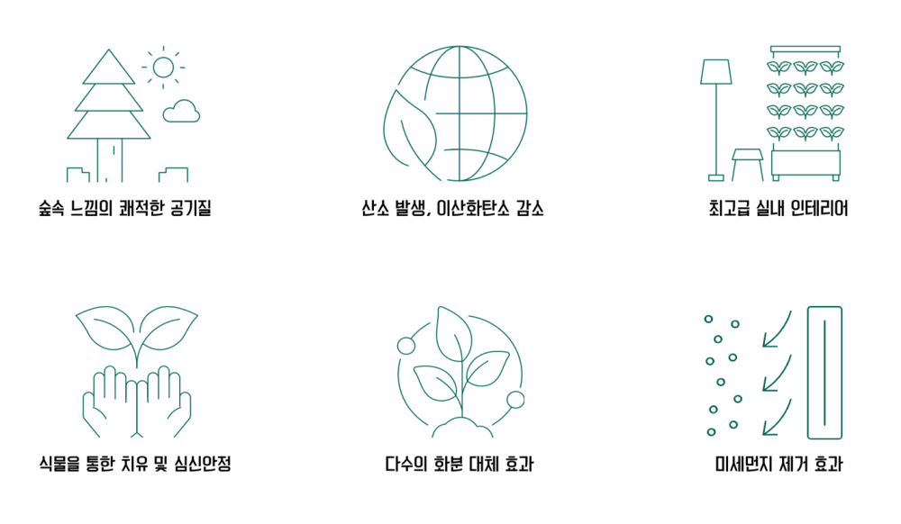 메인페이지_효과