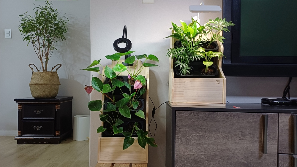 KakaoTalk_20251129_114008626 (2).jpg